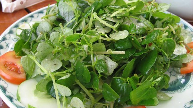 Bất ngờ 7 loại rau được xem là "rau trường thọ", mọc dại đầy ở Việt Nam, không mất tiền mua nhưng nhiều người không biết ăn - Ảnh 3.