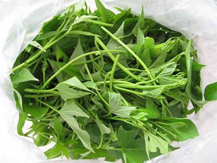 Bất ngờ 7 loại rau được xem là "rau trường thọ", mọc dại đầy ở Việt Nam, không mất tiền mua nhưng nhiều người không biết ăn - Ảnh 7.