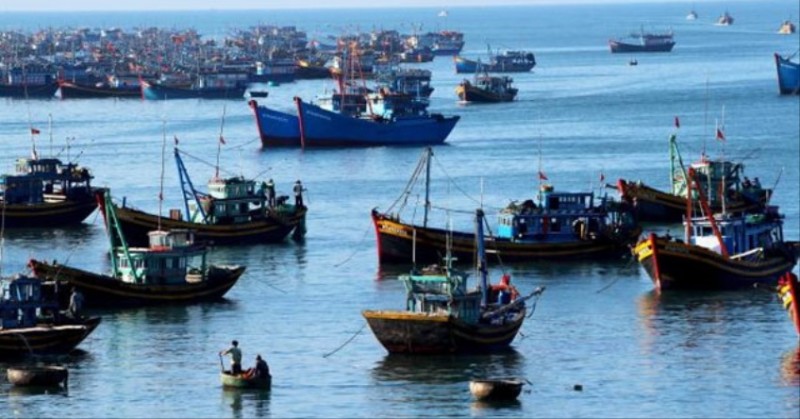 Thanh Hóa: Gần 99% tàu cá vùng khơi đã lắp đặt thiết bị giám sát hành trình