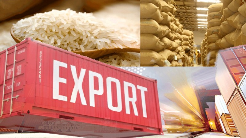 Ấn Độ khủng hoảng thuế xuất khẩu gạo 20%: Xuất khẩu giảm hơn 80% trong một tháng