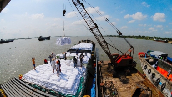 Indonesia chọn nguồn cung từ Việt Nam và Thái Lan để nhập khẩu gạo dự trữ