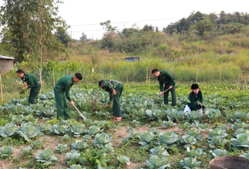 Bài 1: Bộ đội biên phòng Hà Giang: Lan tỏa những mô hình giúp dân phát triển kinh tế