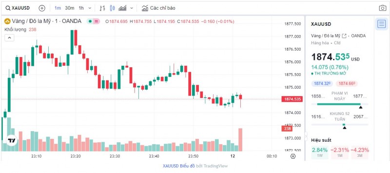 Biểu đồ biến động giá vàng trong 24 giờ qua
