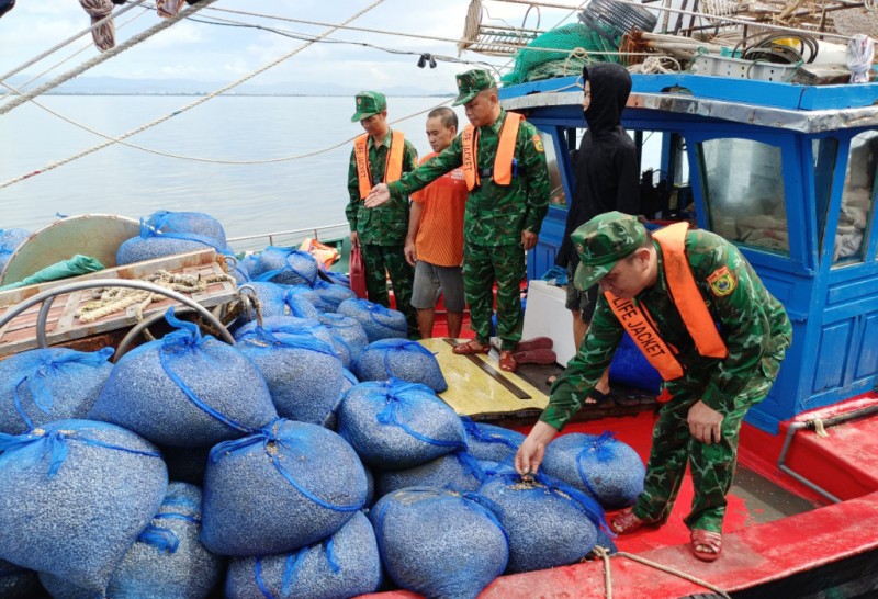 Quảng Ninh: Bắt 7 tàu khai thác thủy sản trái phép trên vùng biển Móng Cái