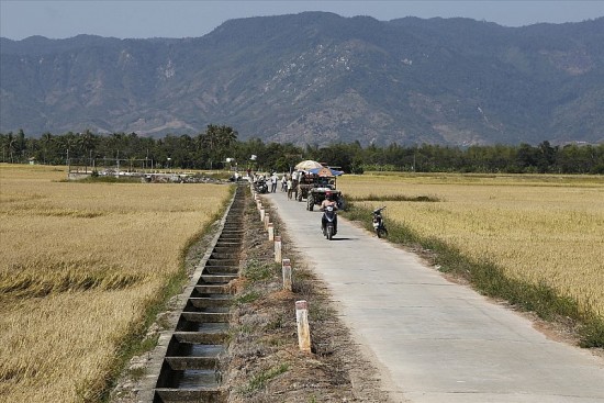 Khánh Hòa: Chuyển đổi số hướng tới nông thôn mới thông minh