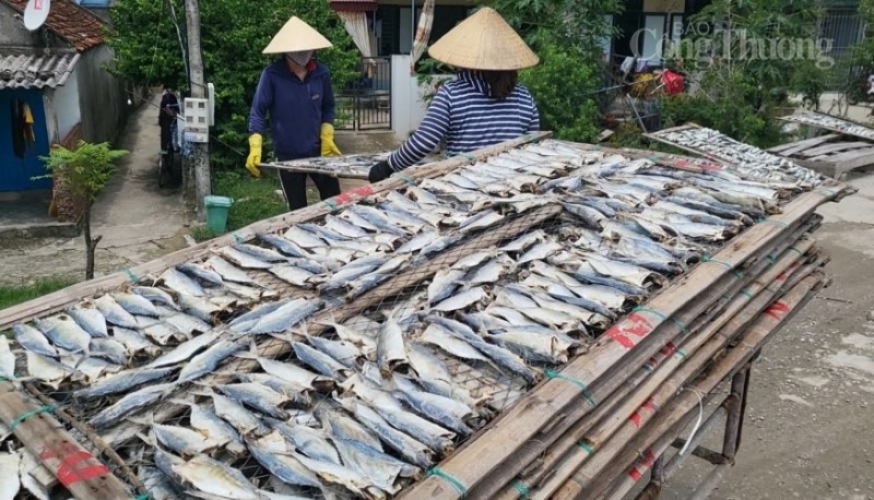 Thị xã Nghi Sơn (Thanh Hóa): Nỗ lực giảm nghèo bền vững