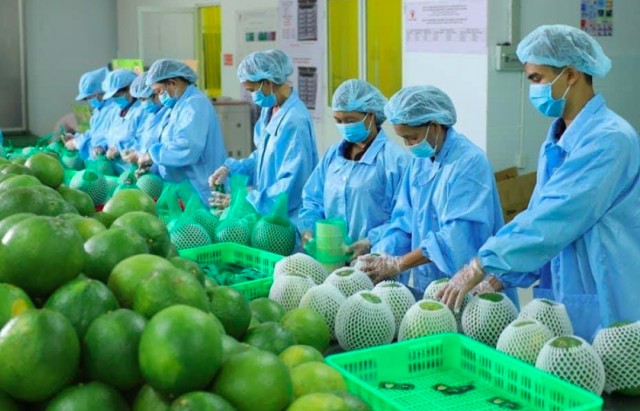 Xây dựng thương hiệu, duy trì thị phần cho nông sản Việt tại thị trường Anh