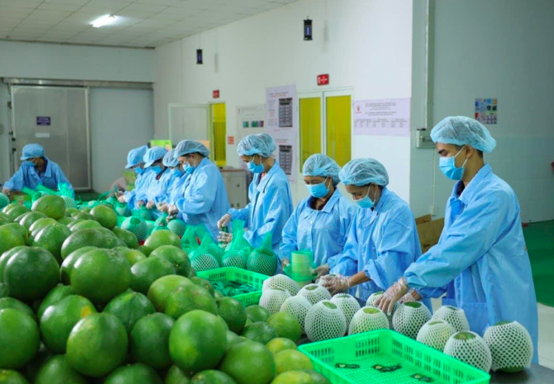 Xây dựng thương hiệu, duy trì thị phần cho nông sản Việt tại thị trường Anh