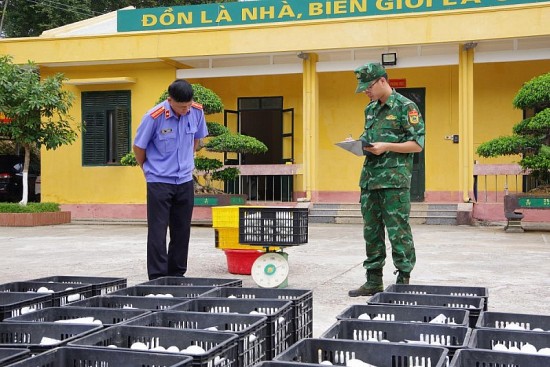 Bản tin Chống buôn lậu 16/10: Phát hiện hơn 4.000 sản phẩm và lượng lớn trứng, gia cầm dấu hiệu nhập lậu