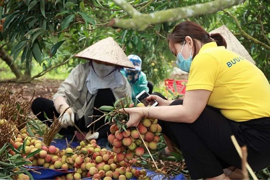 Giữ vững chất lượng sản phẩm là yêu cầu trước nhất của các sàn thương mại điện tử