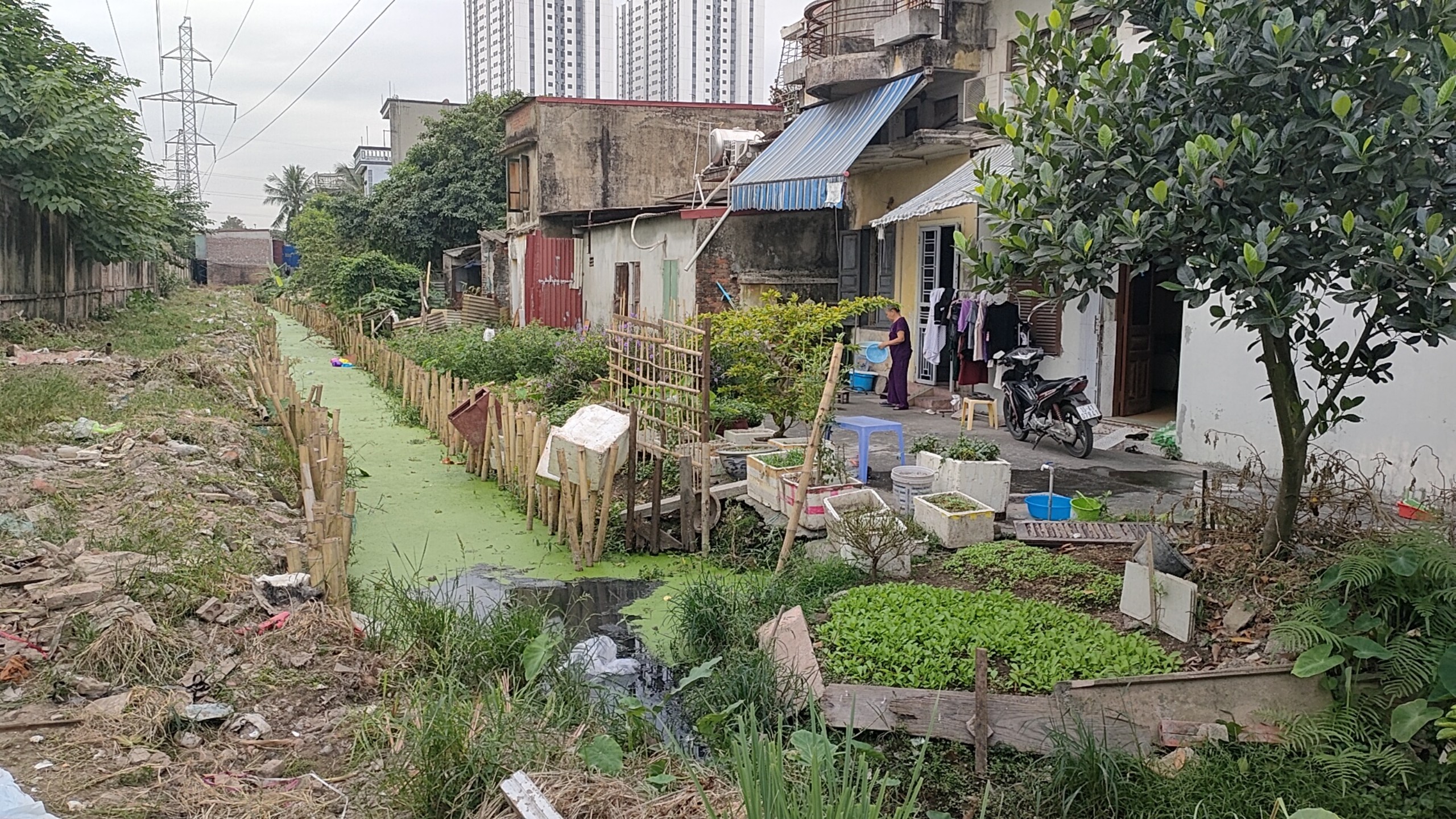 Dân ngóng dự án cải tạo tuyến mương đang ô nhiễm giữa trung tâm Hải Phòng