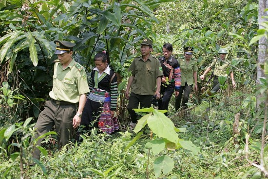 Công bố kết quả kiểm toán quản lý, sử dụng Quỹ Bảo vệ và phát triển rừng tại Yên Bái