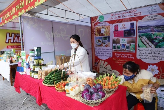 Hà Tĩnh: Kết nối cung cầu, tìm đầu ra cho sản phẩm của bà con miền núi, vùng dân tộc