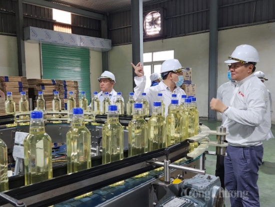 Bộ Công Thương kiểm tra công tác quản lý Nhà nước về an toàn thực phẩm tại Nghệ An