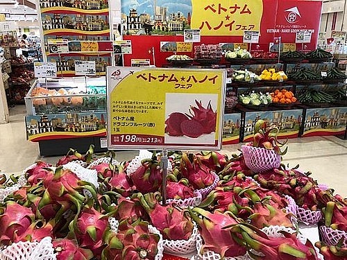 Tổ chức Tuần hàng Việt Nam - Hà Nội tại hệ thống siêu thị Nhật Bản và Hàn Quốc