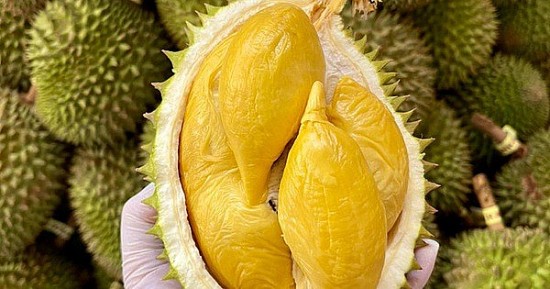 Dự báo sầu riêng sẽ chiếm ngôi vương trong các loại trái cây Việt Nam tại Trung Quốc