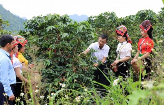 Ấn tượng hành trình giảm nghèo bền vững ở vùng cao Sơn La