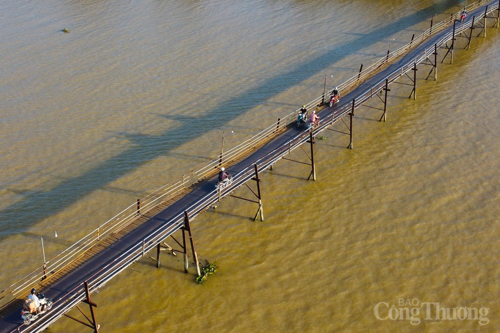 Cận cảnh cây cầu gỗ "rung bần bật" nối đôi bờ sông Cái ở Nha Trang