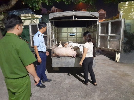 Hưng Yên: Xử lý gần 500kg thịt lợn bẩn