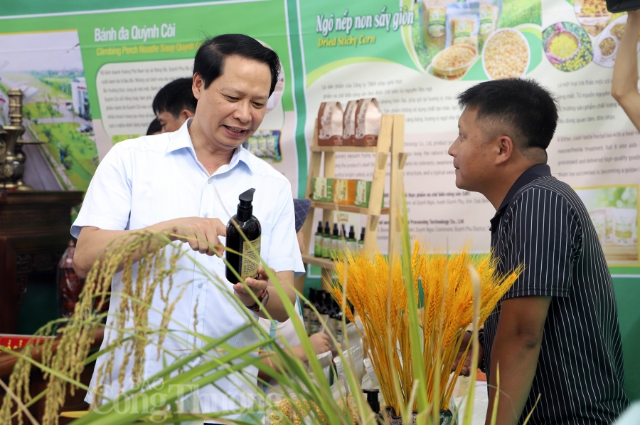 Thái Bình: Phát huy vai trò chủ thể của nông dân trong xây dựng nông thôn mới