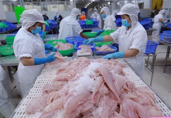Xuất khẩu tuần 30/10-5/11: Xuất khẩu cá tra, cá ngừ kỳ vọng nhiều tăng trưởng,xuất khẩu gạo của Việt Nam khởi sắc