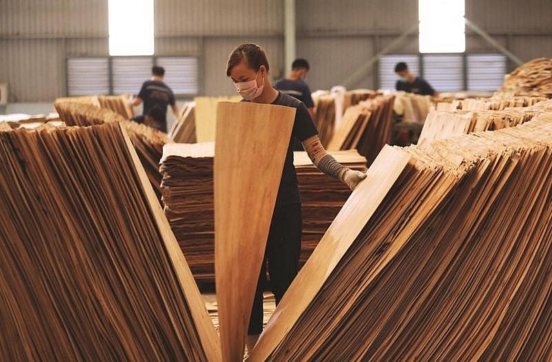 Xuất khẩu gỗ: V vững vàng trước “sóng” phòng vệ thương mại