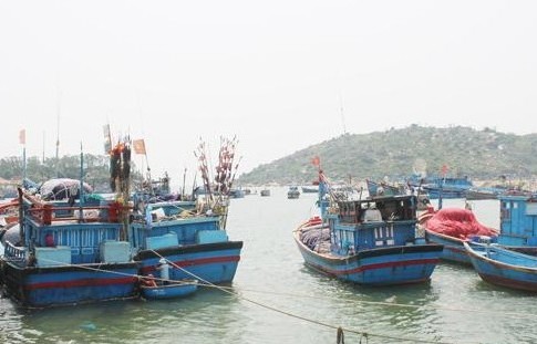 Thu hồi Giấy chứng nhận đăng ký Công ty TNHH Absonutrix Việt Nam; Chủ tàu cá bị phạt hơn 3 tỷ đồng