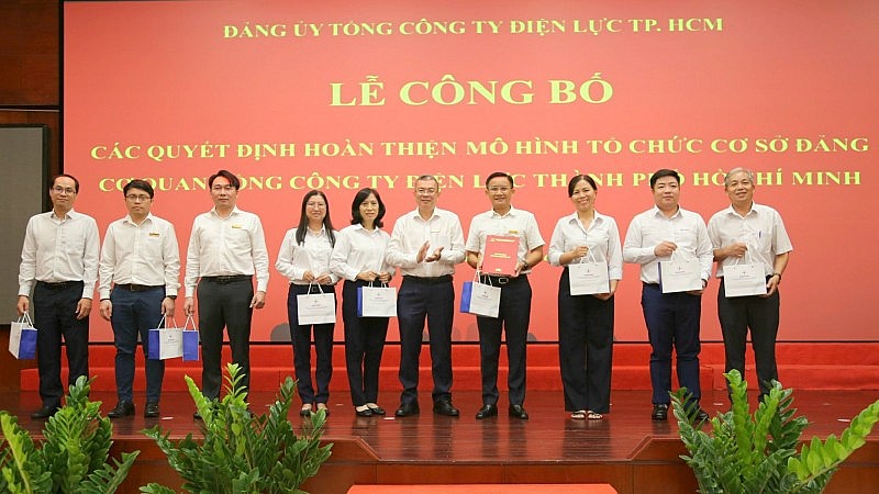 Hoàn thiện mô hình tổ chức cơ sở đảng Cơ quan Tổng công ty Điện lực TP. Hồ Chí Minh
