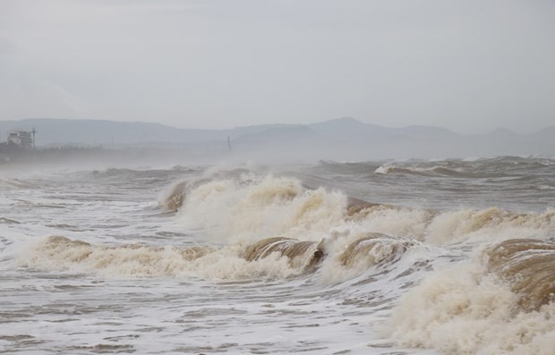 Dự báo thời tiết biển hôm nay 11/11/2023: Gió giật mạnh, có mưa rào và dông trên biển