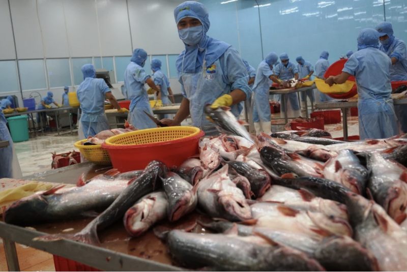 Thêm cơ hội cho cá tra Việt Nam tại thị trường Mỹ và EU