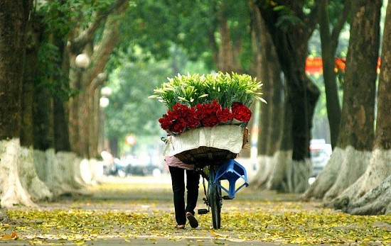 Dự báo thời tiết Hà Nội hôm nay 20/11/2023: Hà Nội ngày nắng, đêm không mưa, trời rét