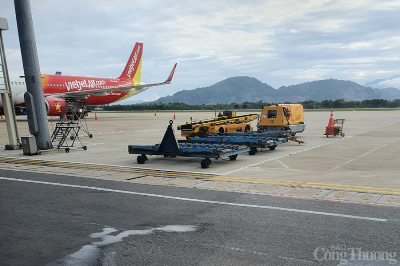 Đà Nẵng: Máy bay hạ cánh trễ do… chó chạy vào sân bay
