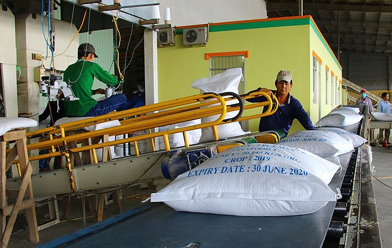 Kim ngạch xuất khẩu gạo của Đồng Tháp tăng hơn 41%