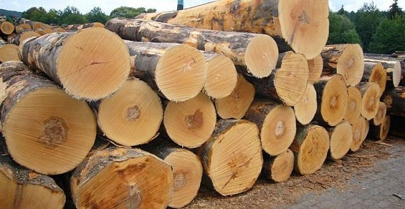 Tạm ngừng kinh doanh tạm nhập, tái xuất gỗ tròn, gỗ xẻ từ rừng tự nhiên từ Lào và Campuchia