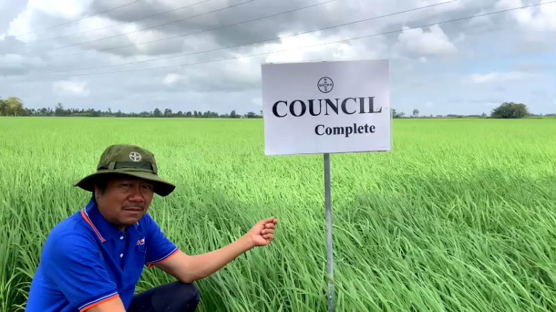 Anh Quách Bảo Phú, nhà nông trồng lúa tại huyện Mỹ Xuyên, tỉnh Sóc Trăng chia sẻ rất tâm đắt với giải pháp quản lý cỏ Council Complete 300SC của Bayer. Ảnh: Đăng Khoa.