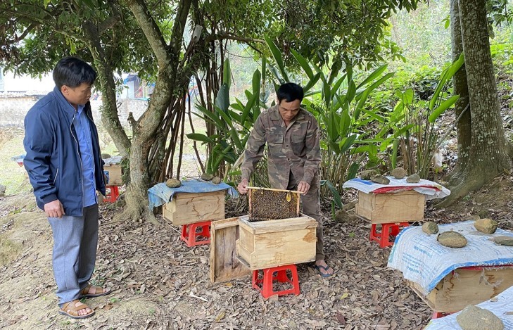 Nghề nuôi ong ở Lai Châu: Chắt chiu mật ngọt cho đời