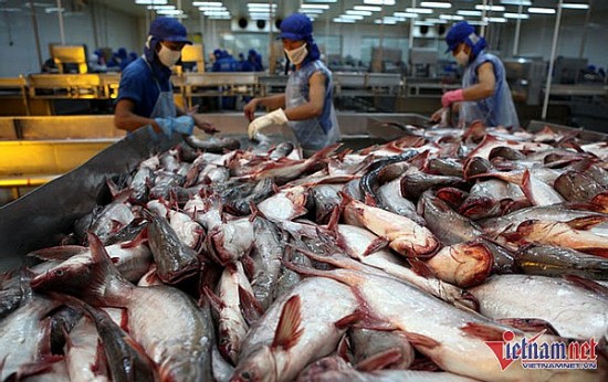Trung Quốc là nhà mua hàng lớn nhất của cá tra Việt trong 2 tháng đầu năm 2024