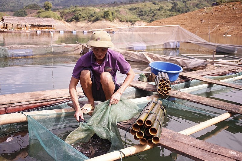 Lai Châu: “Quả ngọt” từ chính sách phát triển nông nghiệp hàng hoá
