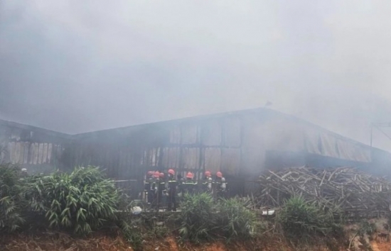 Lâm Đồng: Cháy lớn thiêu rụi xưởng nấm hương ở huyện Lạc Dương
