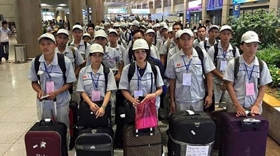 Thanh Hóa: Chương trình xuất khẩu lao động Hàn Quốc thu hút người lao động