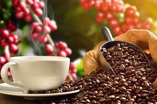 Giá xuất khẩu cà phê bình quân tháng 10/2023 sang thị trường Hoa Kỳ đạt mức cao kỷ lục