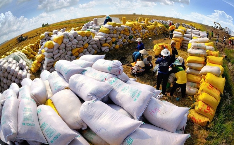 5 tháng, xuất khẩu gạo sang Trung Quốc giảm 67,8%
