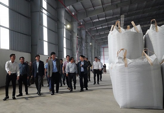 Quảng Bình: Trình diễn kỹ thuật sản xuất viên nén gỗ 145 tỷ đồng