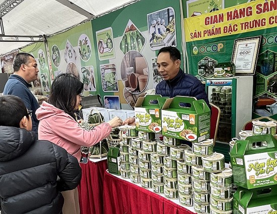 Hội chợ tiêu dùng xanh - sản phẩm an toàn thành phố Hà Nội năm 2023