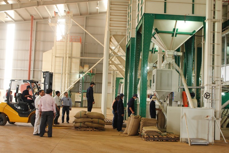 Đắk Lắk: Tận dụng EVFTA, giá trị cà phê xuất khẩu tăng gấp 7 lần