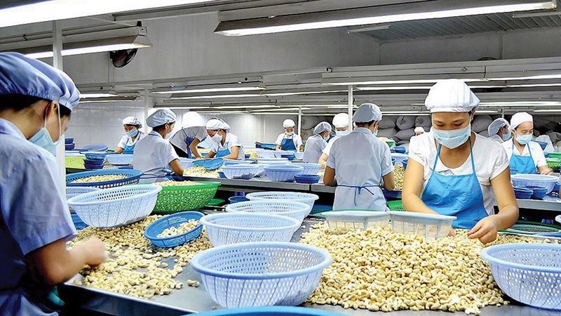 Việt Nam tăng mạnh nhập khẩu hạt điều từ Indonesia