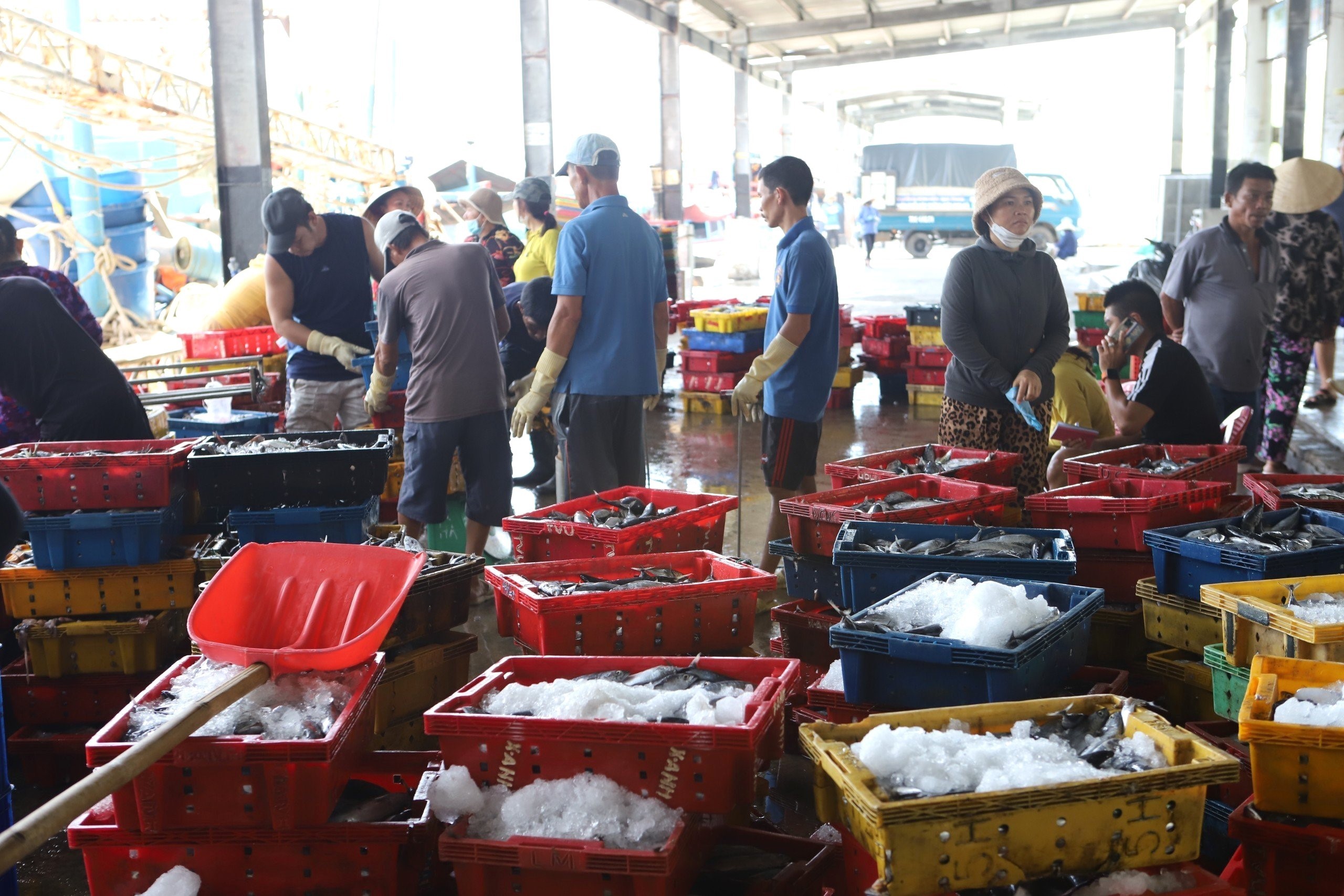 Ngư dân cập cảng Hòn Rớ, tỉnh Khánh Hòa để bán cá. Ảnh: Ngọc Thảo