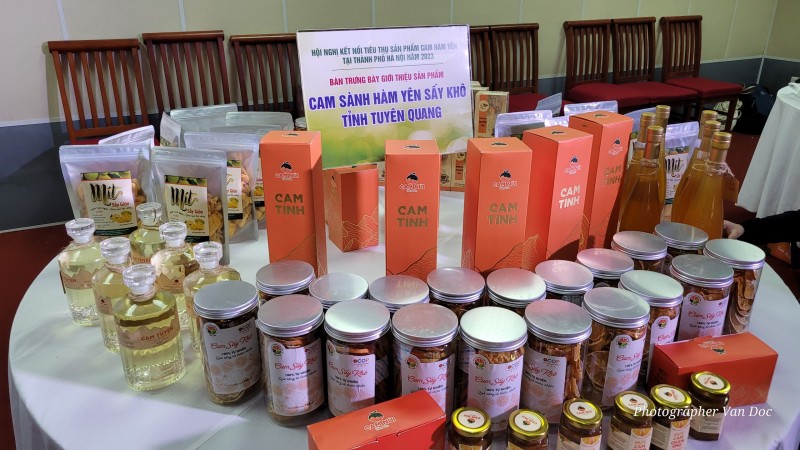 Kết nối tiêu thụ sản phẩm cam Hàm Yên tại Hà Nội