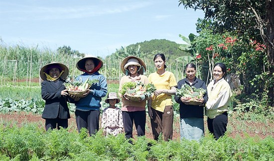 Dự án “Từ trang trại đến bàn ăn”: Tạo đầu ra bền vững cho nông sản đồng bào dân tộc