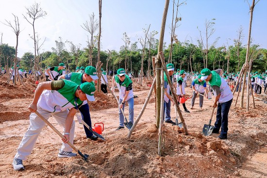 Vĩnh Phúc: Phát động Lễ trồng cây năm 2024 “Cùng Honda giữ mãi màu xanh Việt Nam”